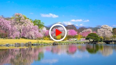 🏛️ 꽃계곡 마을(하나자와노사토) 이미지 2